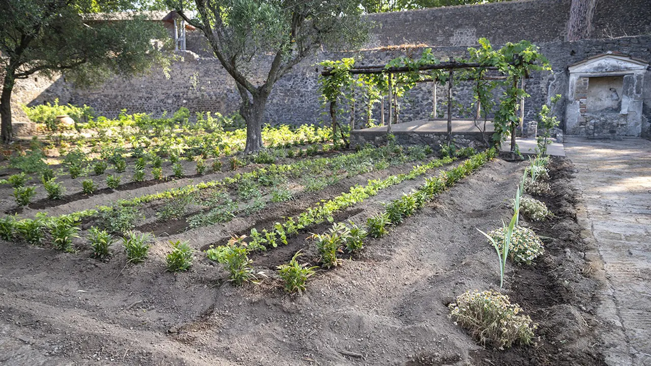 A historic garden in Pompeii has been recreated with 800 roses and 1,200 violets.