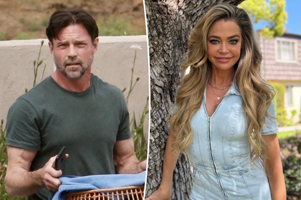Aaron Phypers claims Denise Richards is addicted to Vicodin and is involved in a continuous affair.