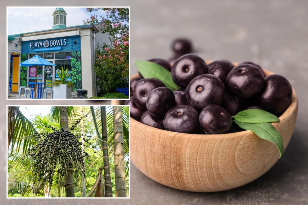 Açaí prices expected to increase as the US applies a 50% tariff on imports.