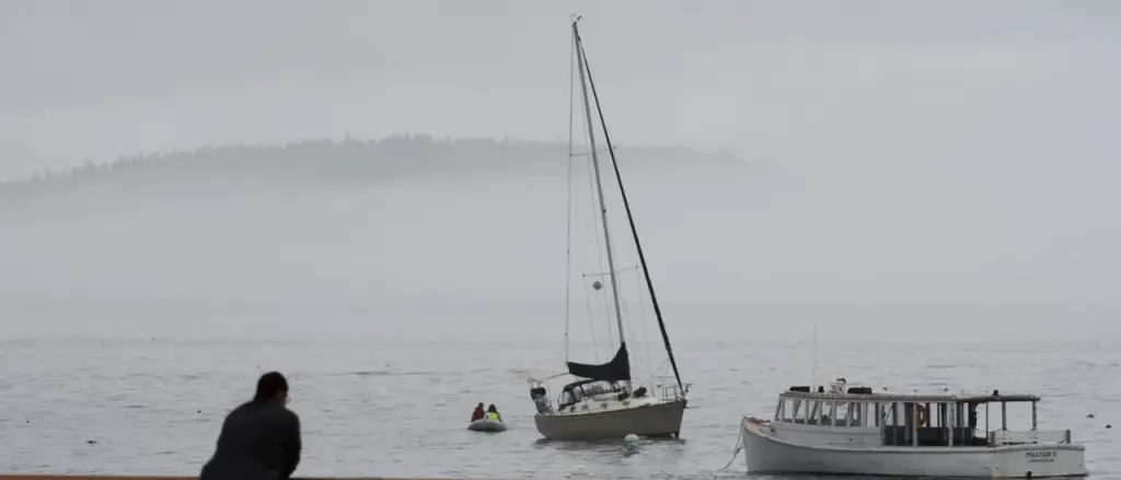 Affluent Residents of Maine Resort Town Worry About Losing Access to Inexpensive Illegal Workers