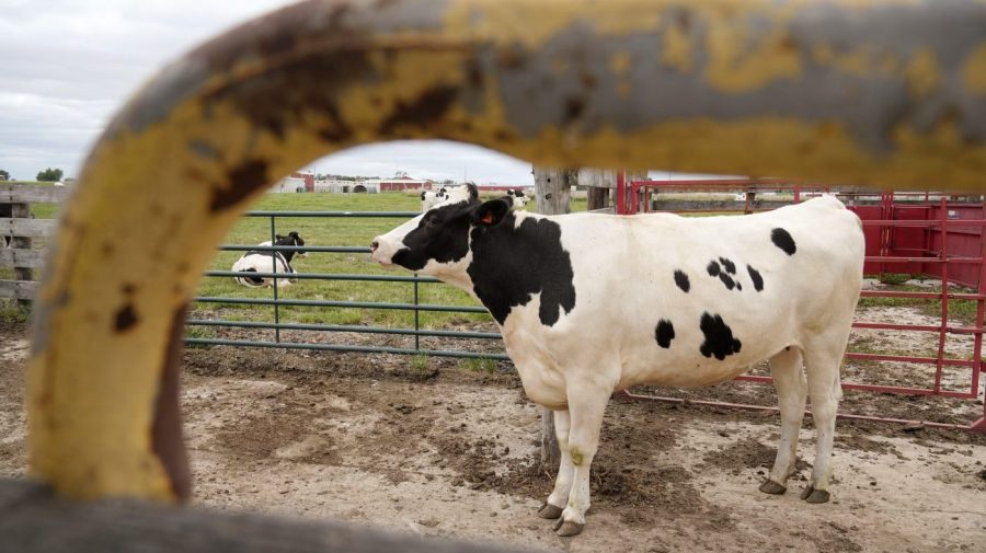 Red-state agriculture commissioners push to end funding for certain UN groups