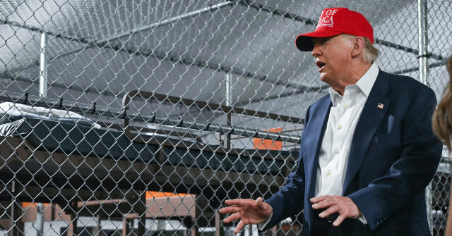 Alligator Alcatraz Detaining Criminal Immigrants with Criminal Records Including Killing an Elderly Woman