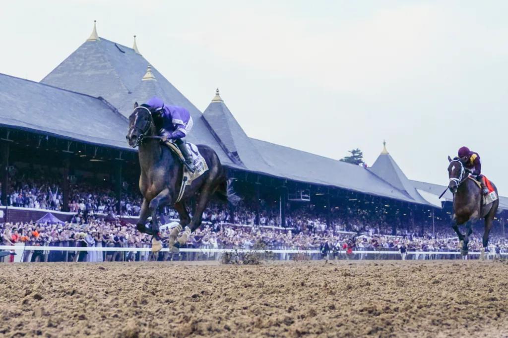 Analyzing all aspects of the upcoming Saratoga event