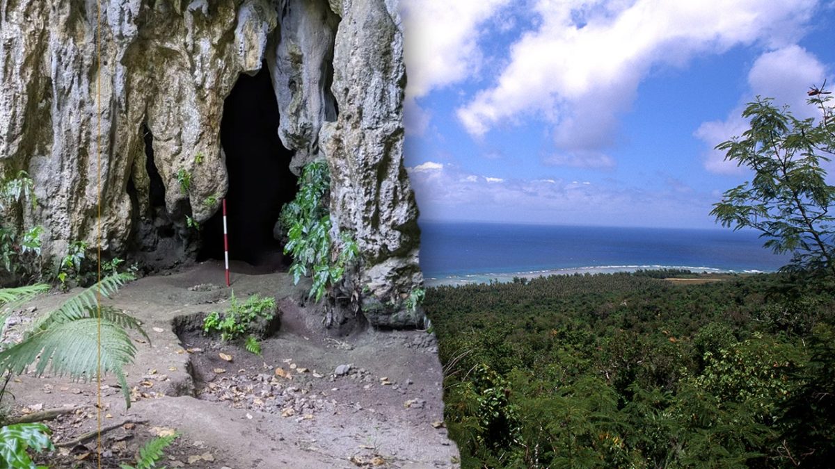 Ancient rice remains found at Ritidian Site in northern Guam