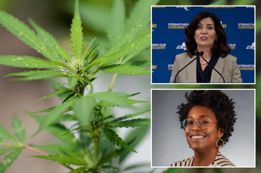 Angry cannabis shop owners and applicants urge Albany to take action after being informed many must move: "under attack from all sides"