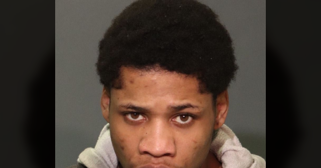 Another suspect detained in the attack on an off-duty Border Patrol agent in NYC is also an undocumented immigrant.