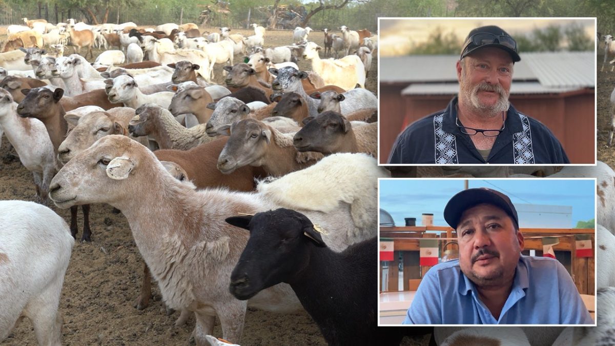 Arizona farmer points out concerns of Hispanic workers over stricter immigration regulations