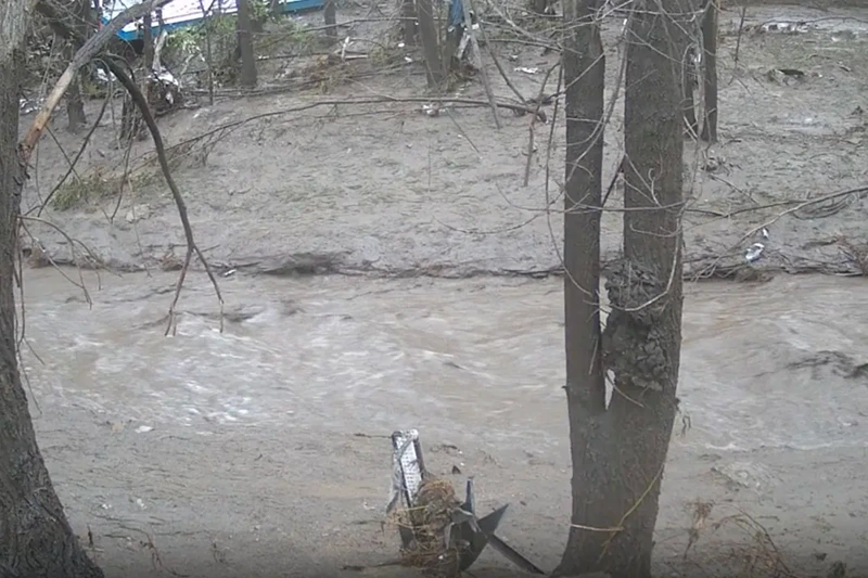 At least 3 people, including 2 children, have died in flash floods in New Mexico.