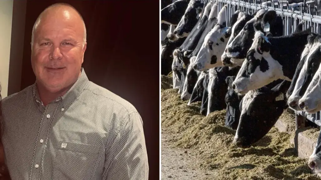 Banks face lawsuit over $100 million Ponzi scheme involving fake cattle