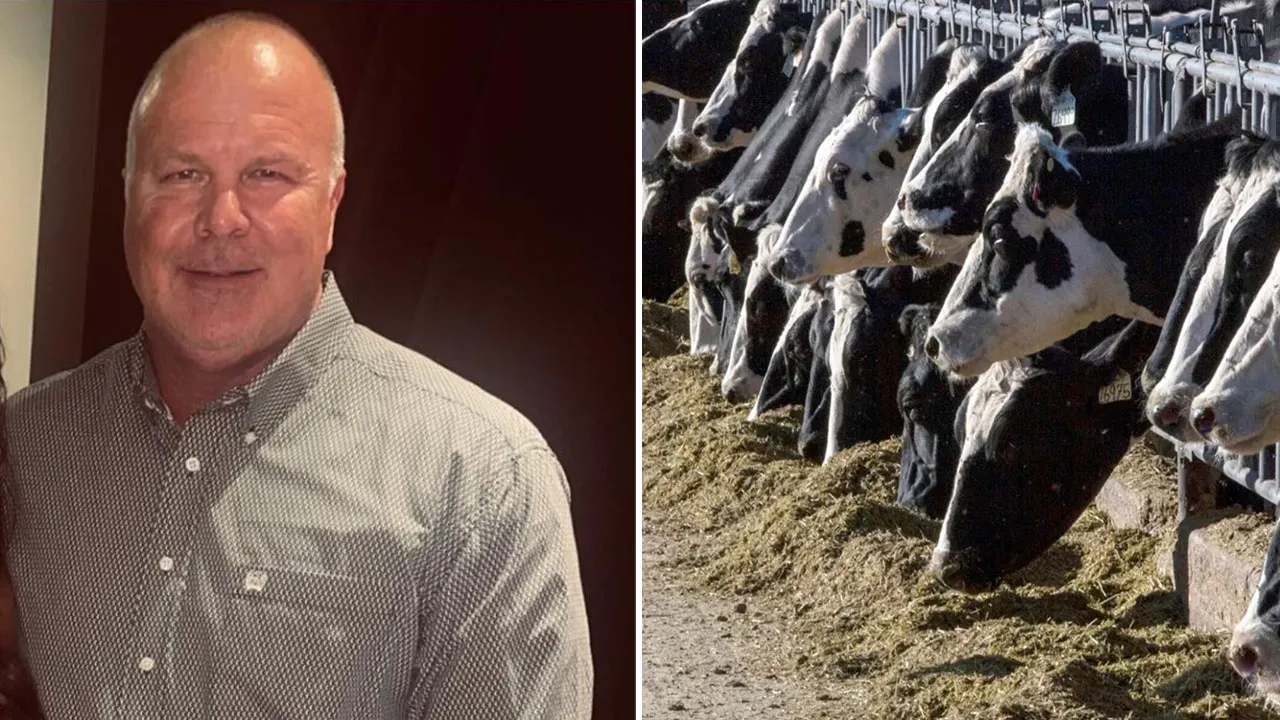 Banks face lawsuit over $100 million Ponzi scheme involving fake cattle