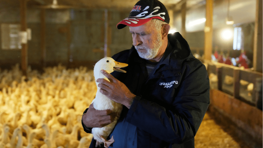 Bird Flu is not finished yet: Reasons the worst may still be ahead