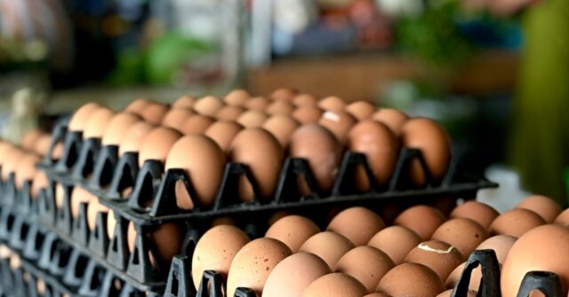 CNN Accused of Claiming Egg Prices Went Up During Trump's Presidency
