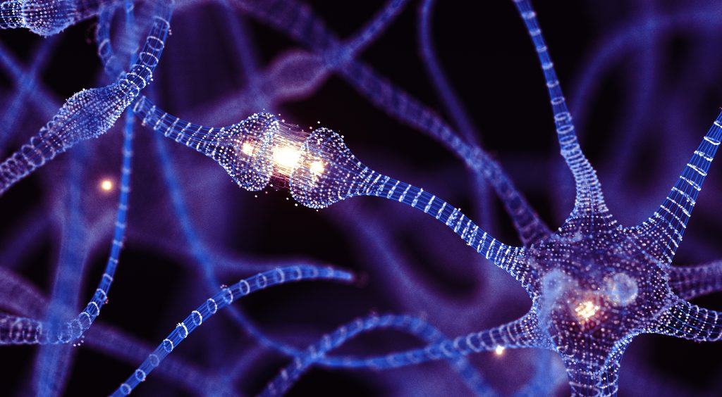 Can adults grow new brain cells? Recent research might resolve a key debate in neuroscience.