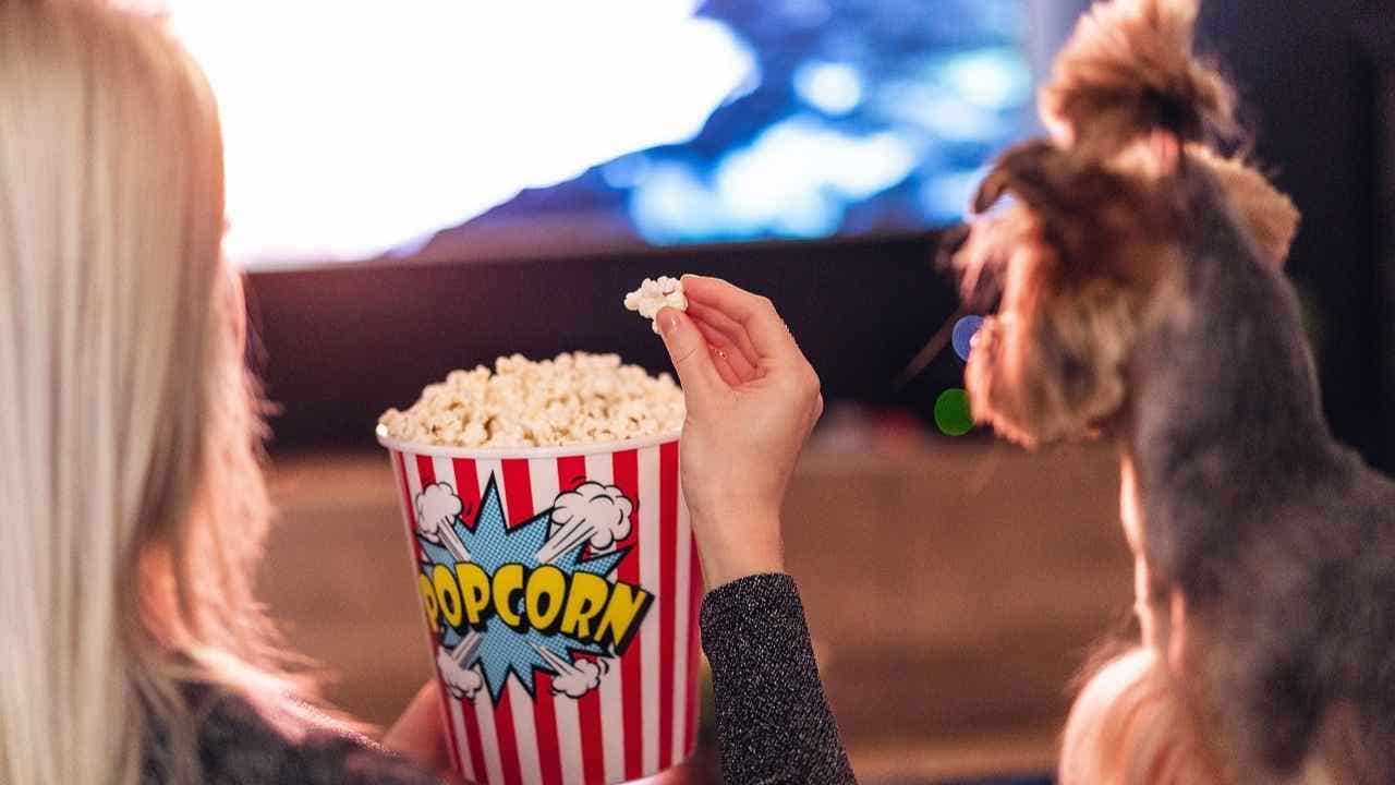 Can dogs actually watch television? Research indicates they can.