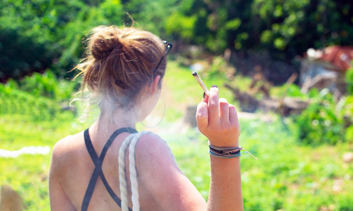 Cannabis users have a much greater risk of developing oral cancer.