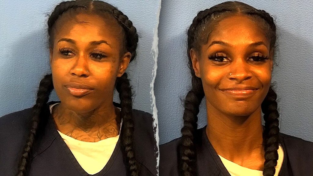 Chicago women reportedly engaged in a high-speed pursuit with police following a shoplifting incident.