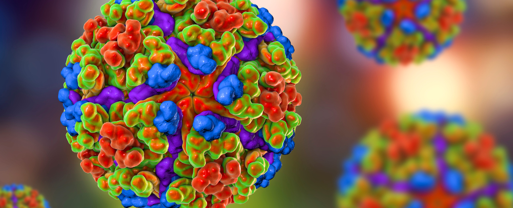 Chikungunya Virus Outbreak Presents Worldwide Threat, According to WHO