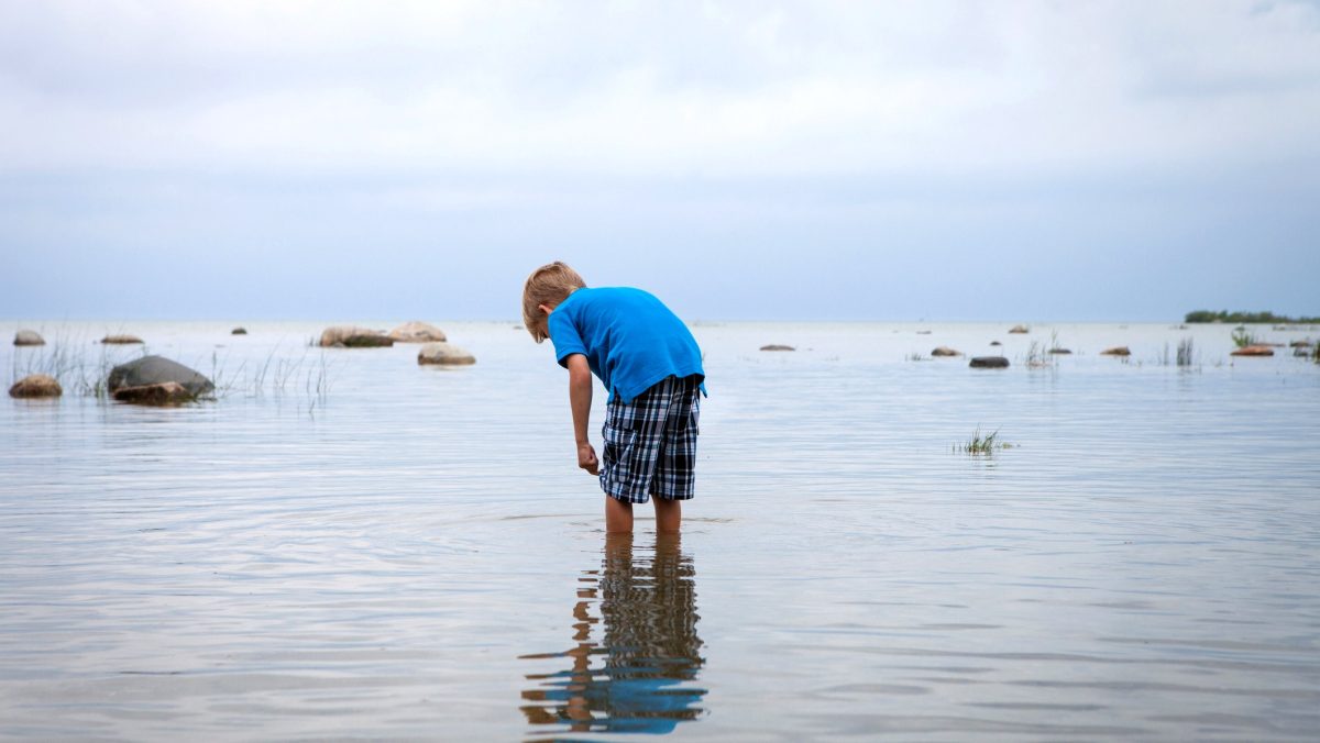 Child passes away from brain-eating amoeba after swimming in lake in South Carolina