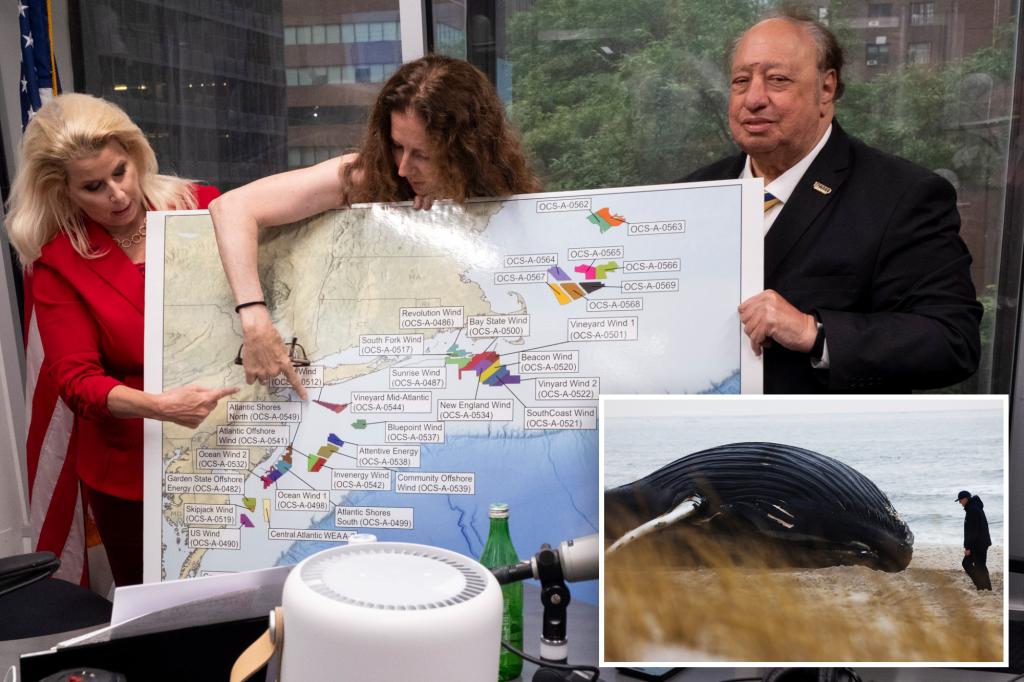 Companies and environmental advocates aim to halt New York's Empire Wind One offshore wind initiative