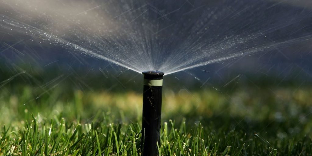 Complaint about brown grass resulted in Florida woman being arrested and spending 7 days in jail