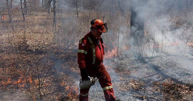 Congressional Republicans Request Canada's Forest Management Strategy as Wildfires Endanger the Midwest This Summer