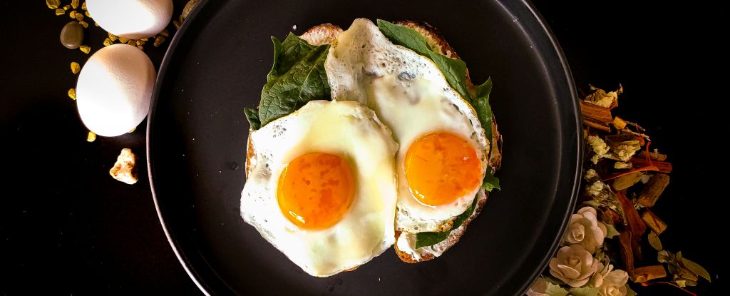 Consuming Eggs Can Truly Reduce Bad Cholesterol, Research Indicates