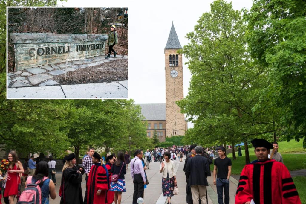 Cornell University faces a lawsuit from America First Policy Institute over DEI bias.