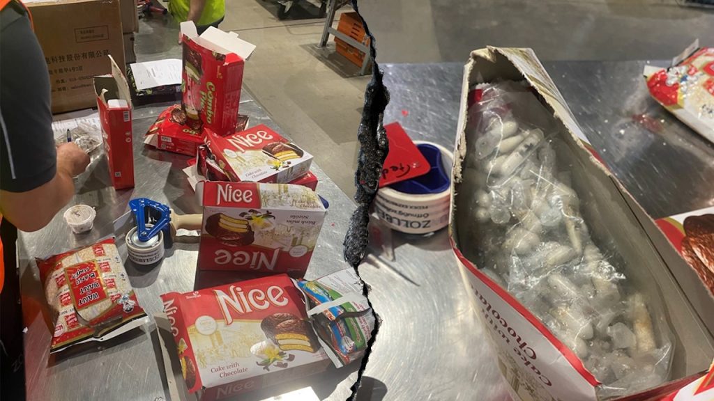 Customs officials discover 1,500 tarantulas concealed in a spongecake delivery