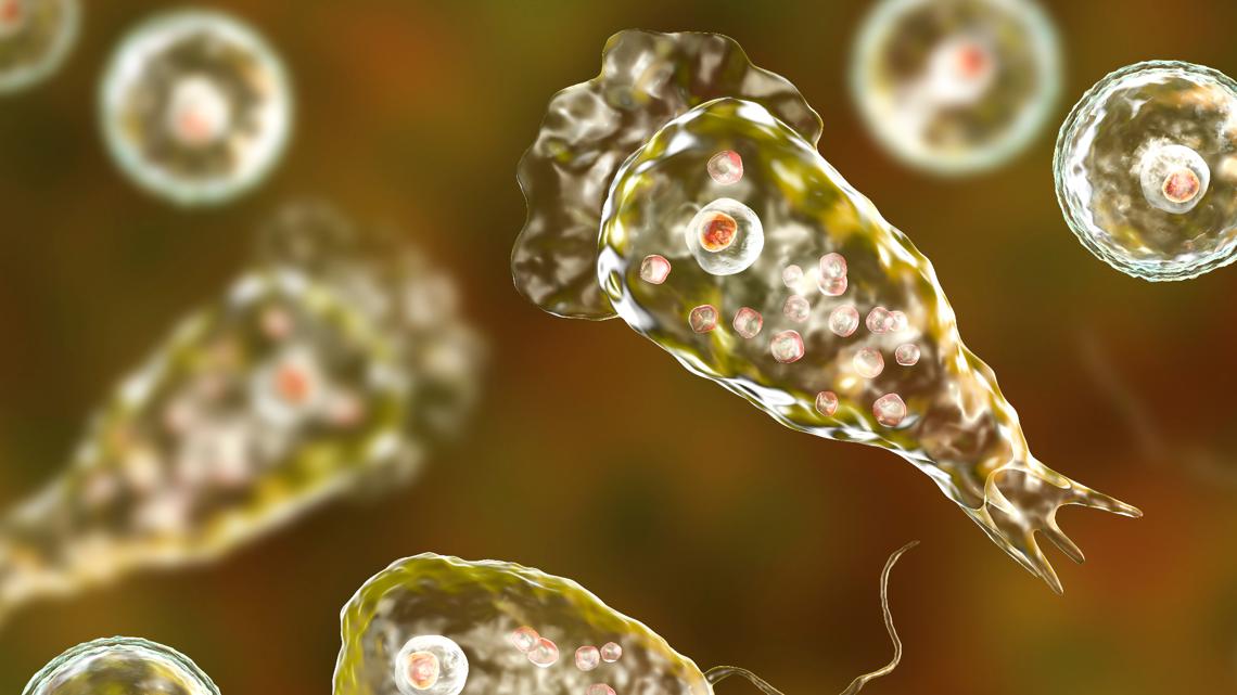 Death from brain-eating amoeba confirmed in South Carolina hospital