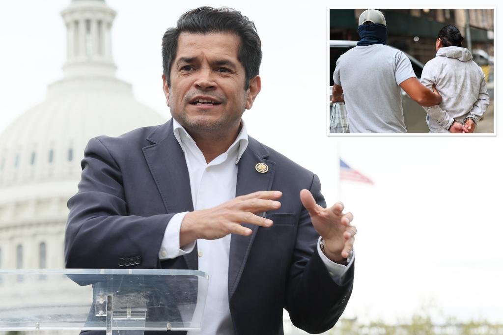Democratic Representative Gomez says ICE is going after 'anyone who is Brown'