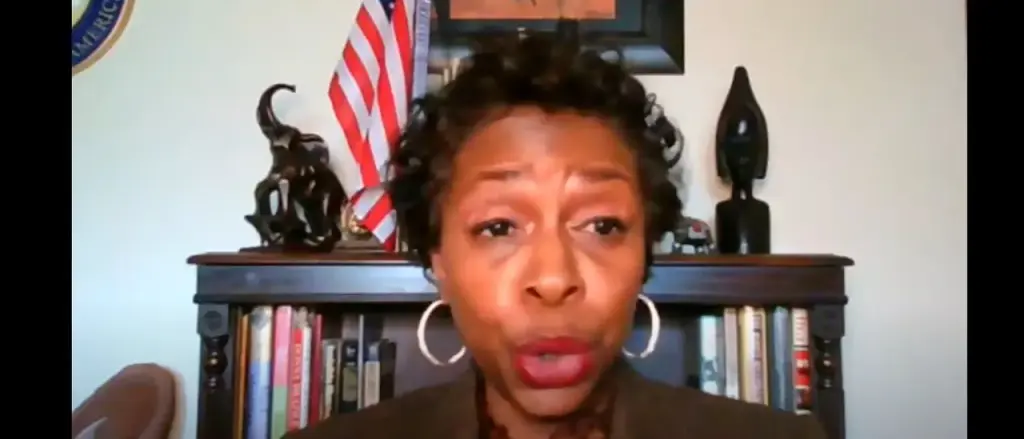 Democratic Representative Yvette Clarke Acknowledges That Mass Immigration Aims to Bring in Democratic Voters