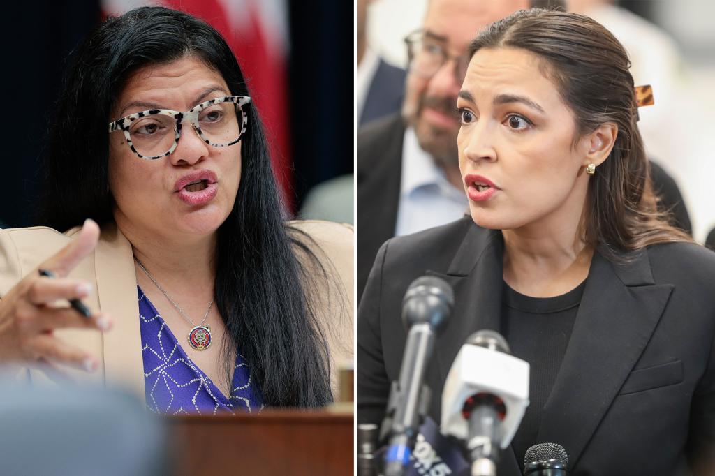 Democratic socialists criticize AOC for opposing Republican amendment on Israel.