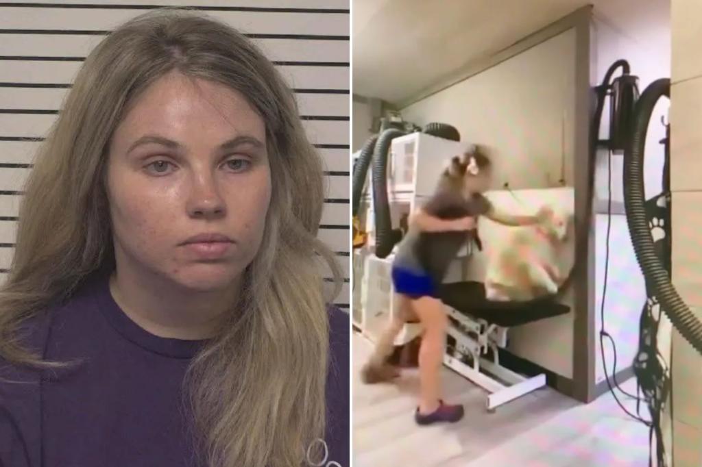 Dog groomer filmed hitting dogs, say officials