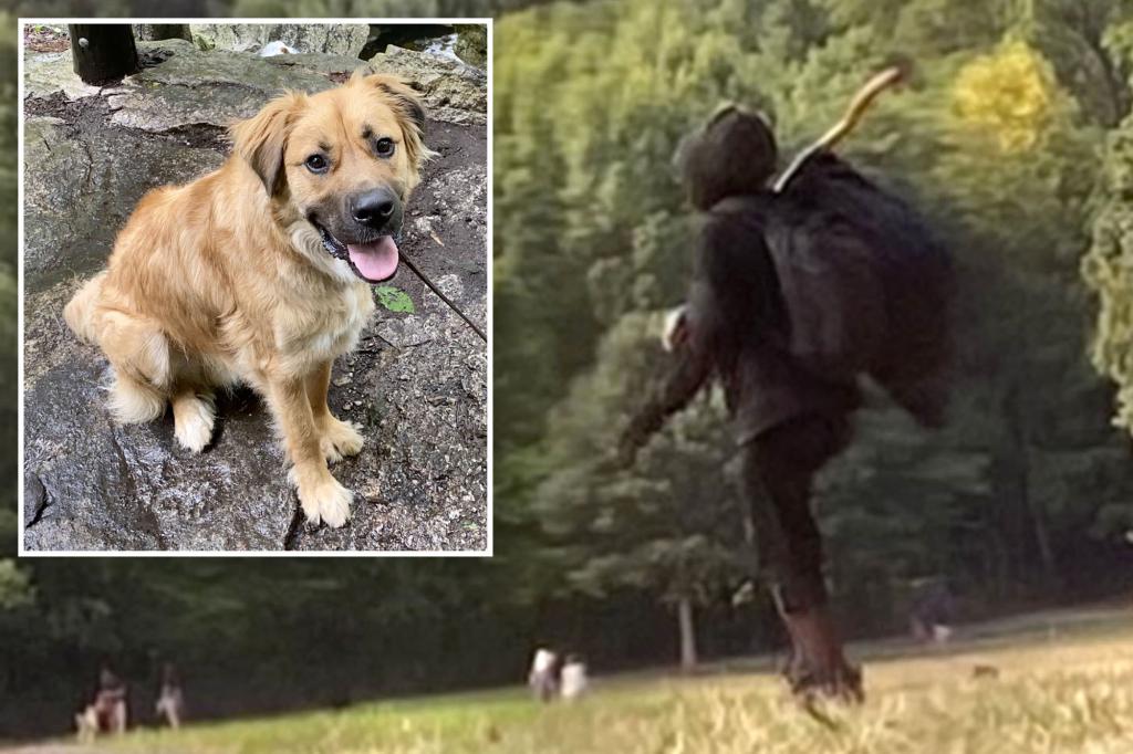 Dog killer in Prospect Park threatens to shoot pet's owner