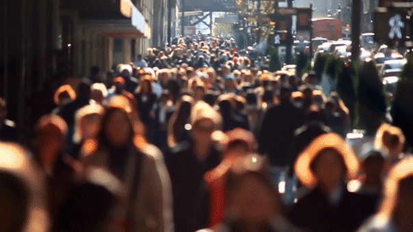 EPA looks into employees accused of signing a letter with their official titles