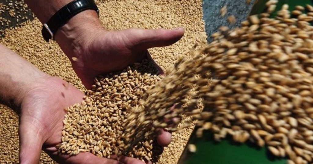 Egypt's new commodity exchange will be managed by a military-associated organization.