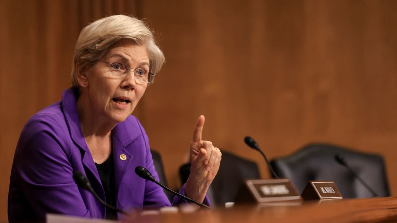 Elizabeth Warren opposes the proposal to allow private equity in 401(k)s.