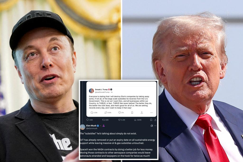 Elon Musk responds to Trump after the president stated he didn't intend to take away subsidies from the Tesla leader.