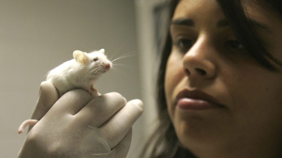 Encouraging technologies are still not prepared to take the place of animal research.