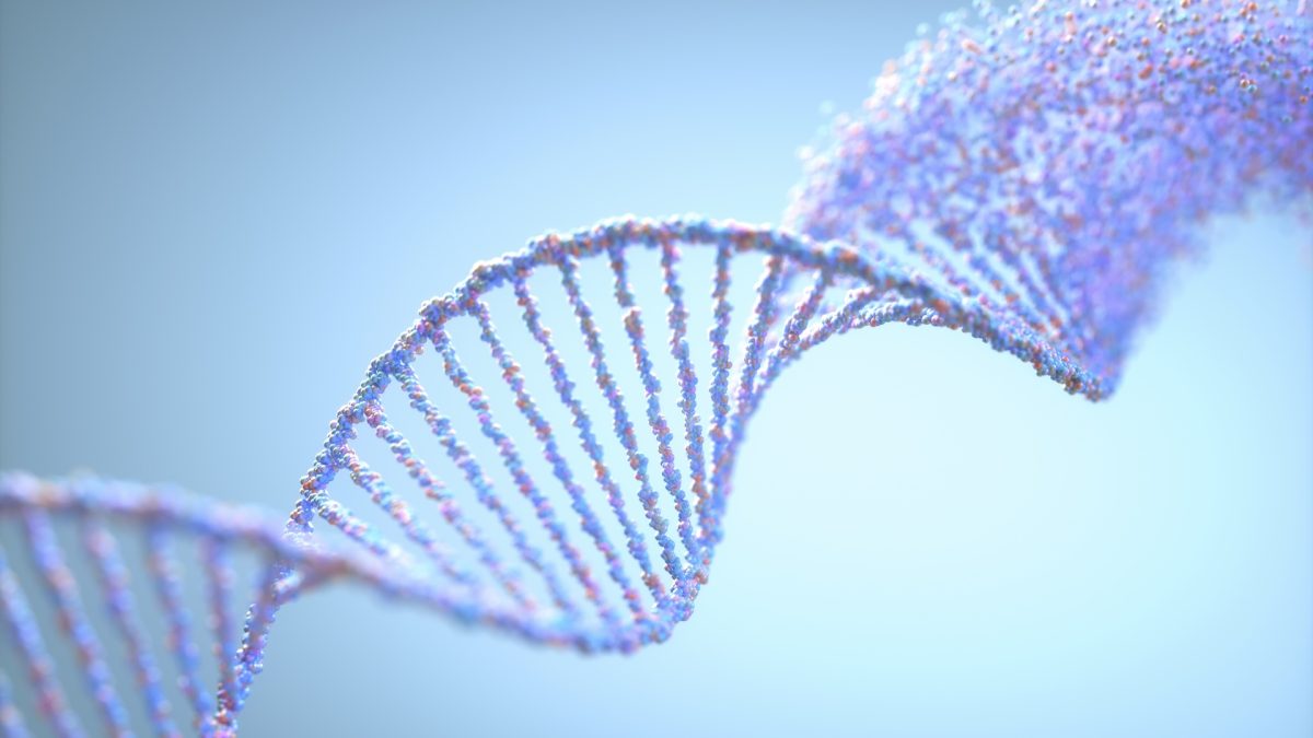 'Epigenetic memory' might clarify why PCOS often occurs in families.