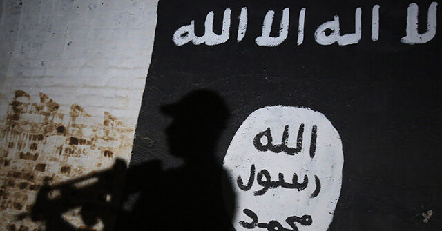 Ethiopia Launches Large-Scale Action Against ISIS, Many Taken Into Custody