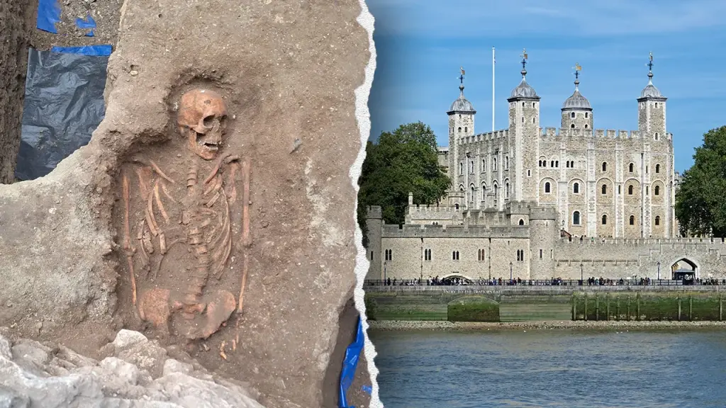Excavation at the Tower of London reveals medieval skeletons that might belong to plague victims