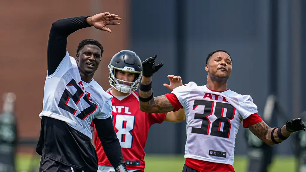 Falcons players clash during training camp practice