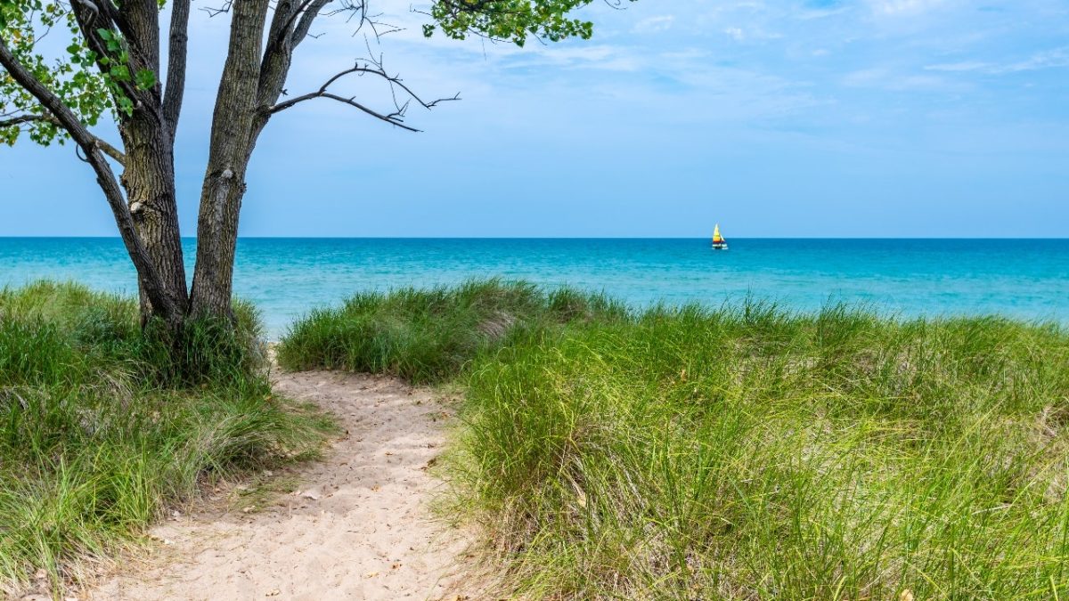 Father and son die in Lake Michigan while on a boating trip and playing catch