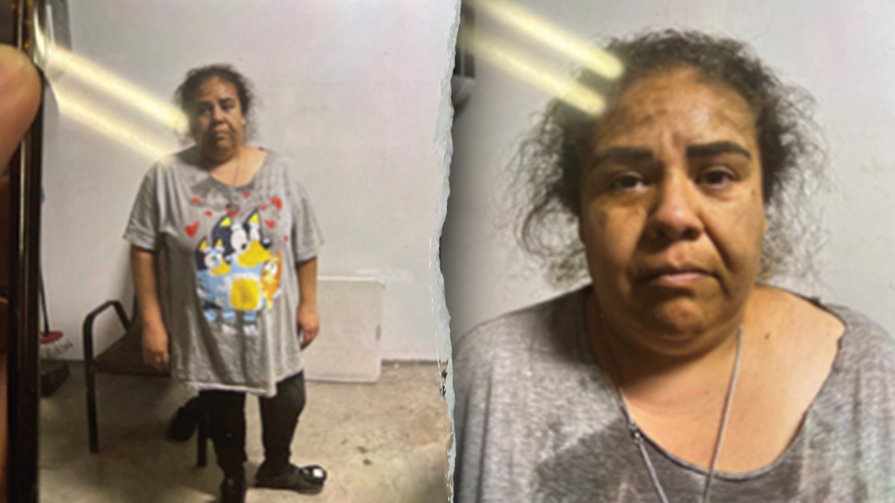 Federal authorities claim undocumented immigrant staged her own ICE 'abduction.'