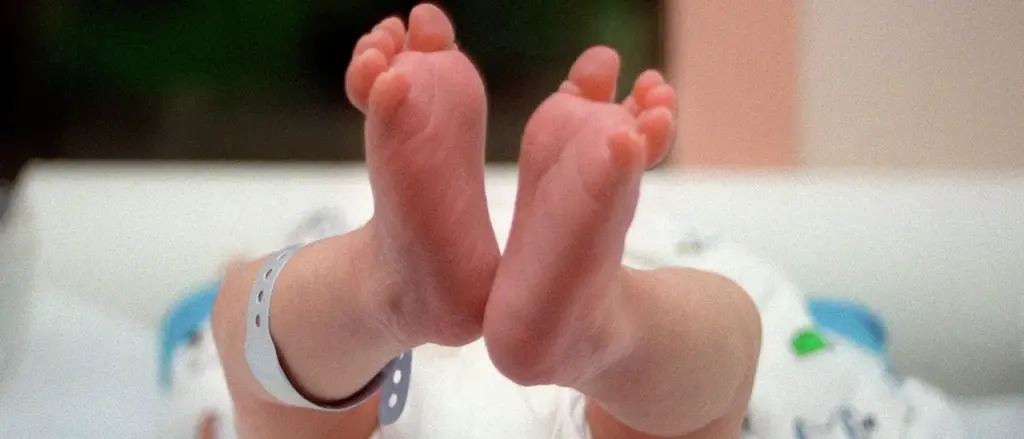 Fertility Rate in the US Dropped to Record Low in 2024, New Data Reveals