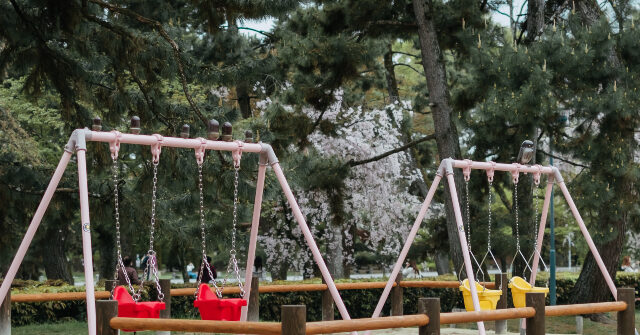 Fertility Rate in the United States Reaches Record Low in 2024