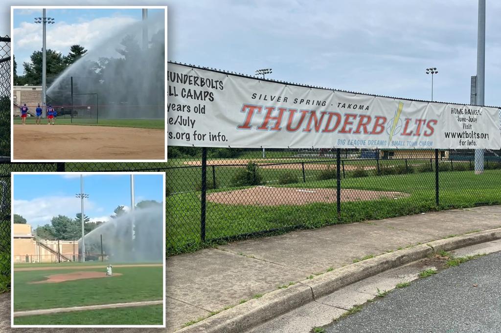 Firefighter waterlogs baseball field after errant ball damages his car at college game in Md.