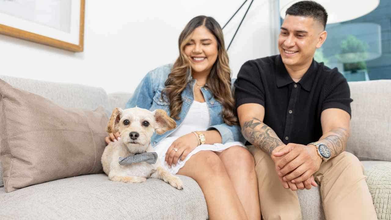 Fireworks on the Fourth of July lead to a 60% increase in lost dogs, tips for pet safety