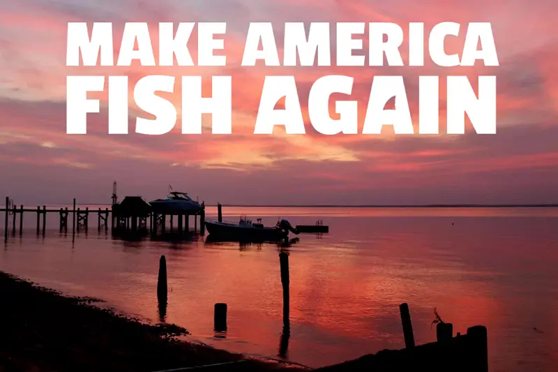 Fishermen ask President Trump to protect their industry